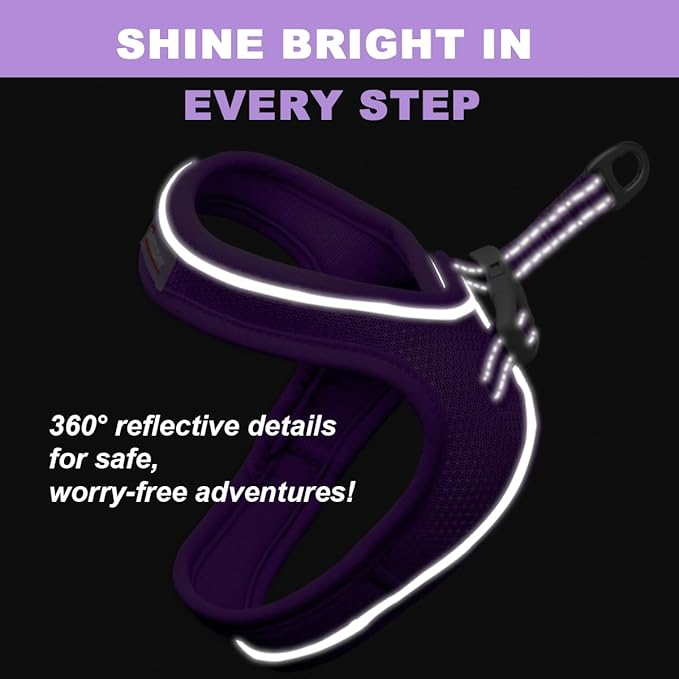 Cat Harness and Leash Set,Escape Proof Kitten Harness,Step in Adjustable Soft Lightweight,Easy Control,Reflective Strips Comfortable for Walking Travel(Purple,XXS)