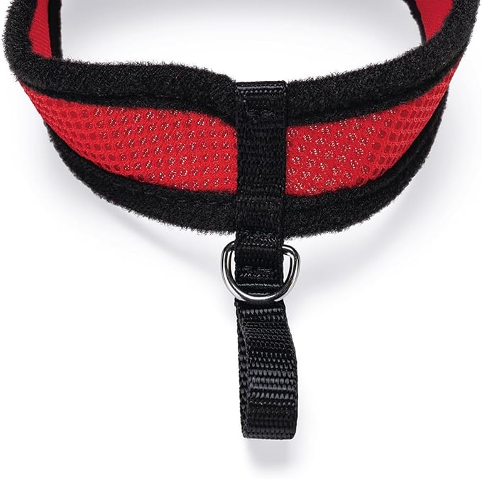 Flamingo Harms Kitten Set of Harness Red/Black, 110 cm x 10 mm