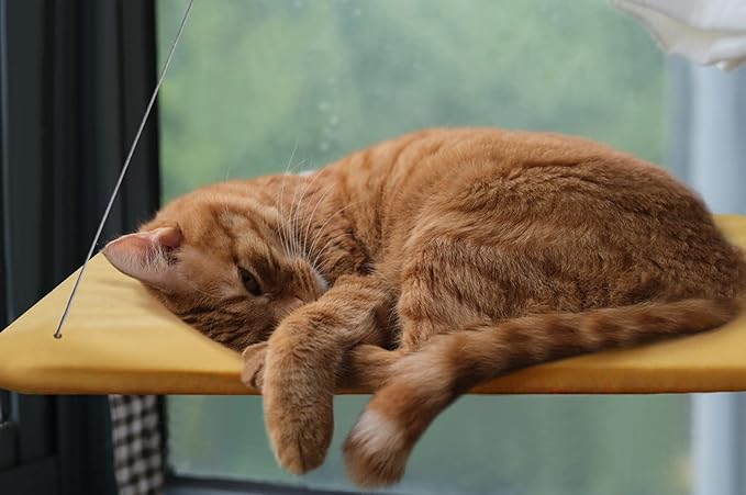 Cat Window Bed – Stable Support for All Kitties – No-Drill Mounting Window Bed for Cats w/Hand-Washable Fabric – Space Saving Cat Window Hammock for Indoor Cats & Apartment Living (21”x12”)