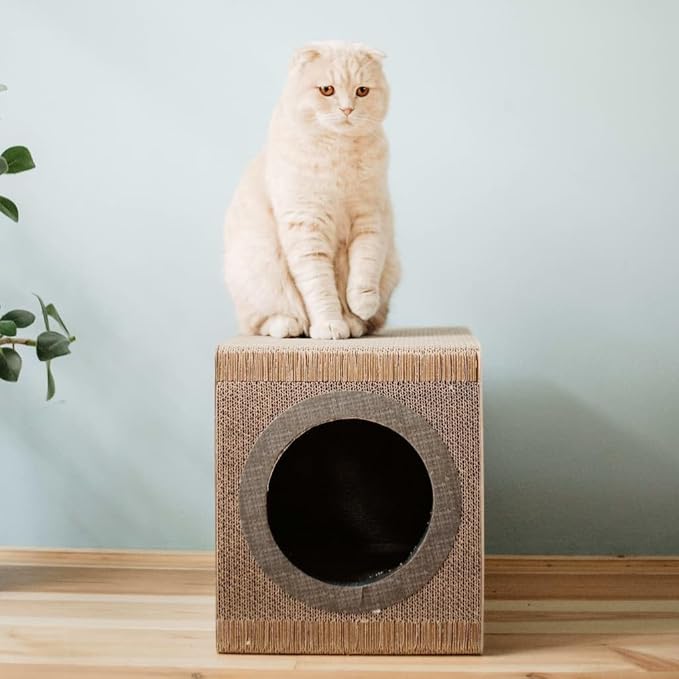 District 70 Mixtape Cardboard Cat Scratcher, Large (54 x 31 x 35 cm), Black