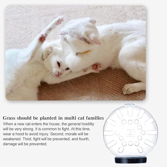 Cat Muzzle for Grooming, Transparent Cat Helmet Anti Bite Muzzles Adjustable Breathable Kitty Hood Anti Bite Bubble Astronaut Groomin Mask for Pet Bath Nail Trimming (m)