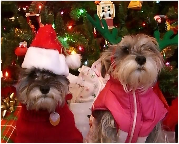 Adjustable Pet Santa Hat for Dogs Cats, Christmas Costume Hat for Puppy Kitten Holiday Party