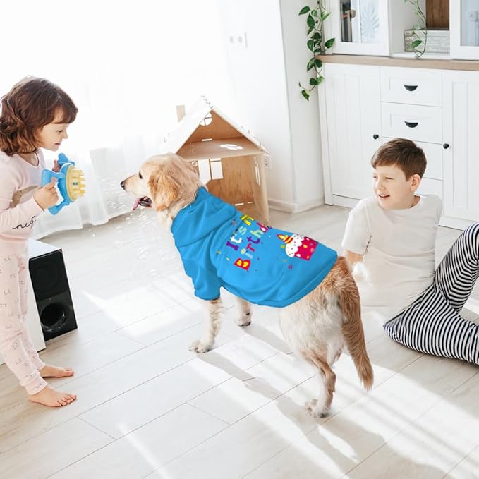 Dog Sweater Dog Hoodie Cold Weather Coat Hooded Sweatshirt for Puppies,Cats, Small Medium Large Dogs (Blue(It's My Birthday), X-Large)