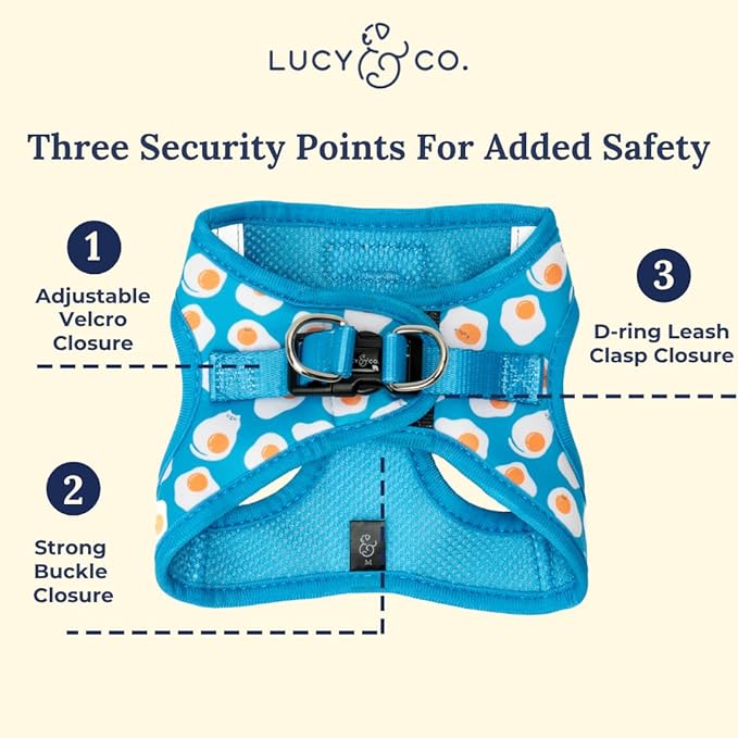 Lucy & Co. Eggcelent Step-in Cat Harness & Leash Bundle – Reflective, Breathable & Adjustable Harness for Cats, Kittens & Small Dogs, Lightweight & Secure and Dual Leash Clips – Large