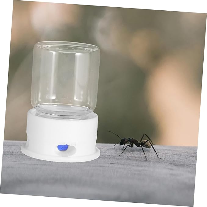 Automatic Ant Water Feeder Medium Ant Watering Station and Practical Design in Environment