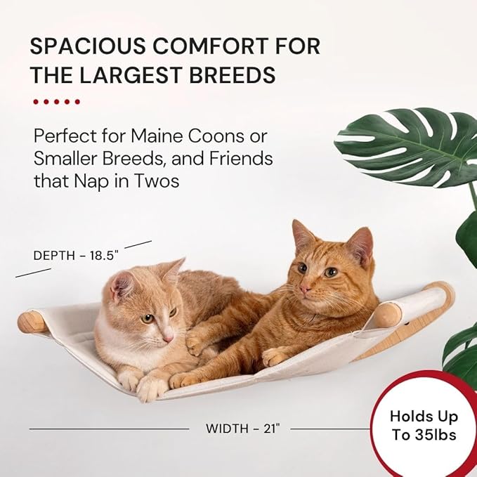 7 Ruby Road Cat Wall Hammock – Wall Mounted Cat Bed for Large Cats – Wood Perch Shelf, Cat Hammock for Wall, Holds Up to 35 lbs