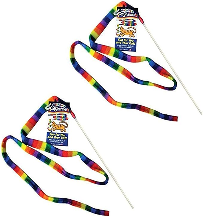 Rainbow Cat Charmer