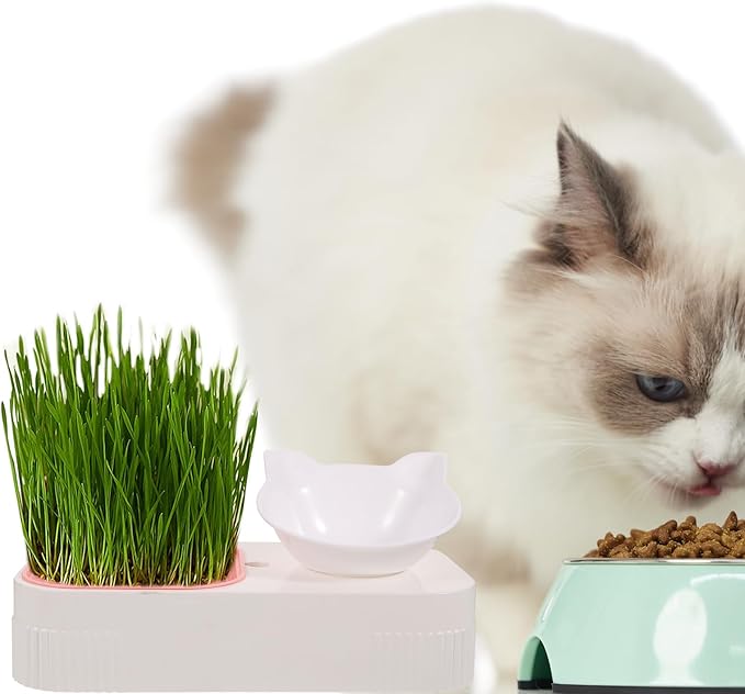 TEHAUX Cat Grass Planter and Plastic Pet Cat Food Bowl Multifunctional Feeding and Watering Dish Soilless Indoor Kitten Food Dish