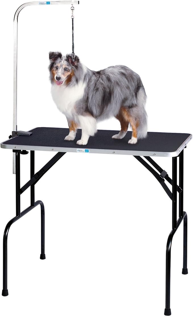Pet Edge Master Equipment Heavy Duty Grooming Table with Arm – Easy to Clean Grooming Table for Animals up to 220 Pounds