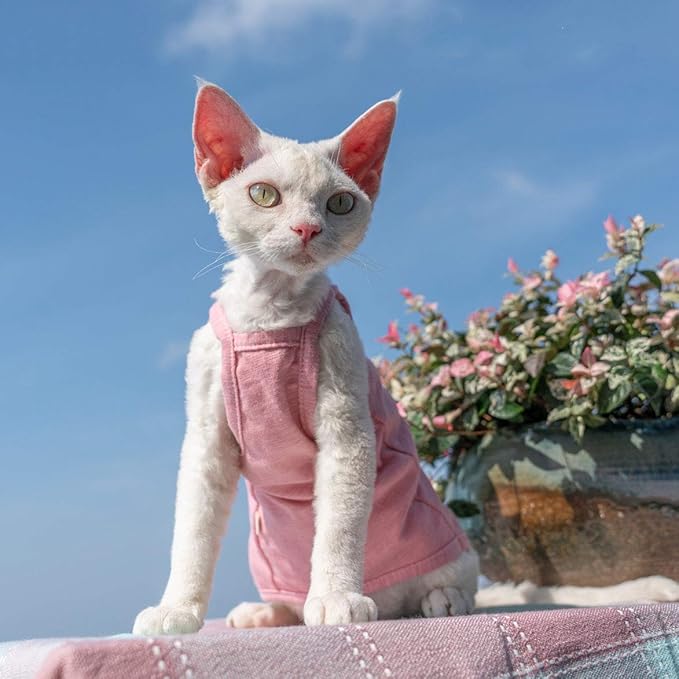 Hairless Cats Solid Cotton Camisole, Breathable Summer Tank Tops for Sphynx, Cornish Rex, Devon Rex, Peterbald, Cat Wear Hairless Cat Clothes Soft Skin-Friendly Cats Apparel Assorted Colors and Sizes