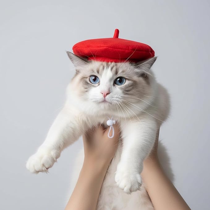 2 PCS Dog Beret Cat Beret Dog French Hat Fedora Artist Pet Costume Berets for Small Dogs Cat Photo Props for Pets (Black, Red)