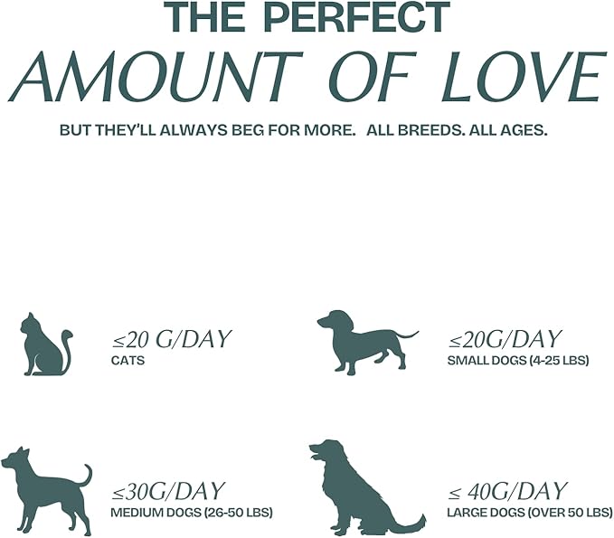Freeze Dried Minnows Cat & Dog Treats for Training, Healthy High Protein Limited Single Ingredient Pet Food Snacks for Small, Medium, and Large Dogs Cats (Raw Minnows, 8oz)