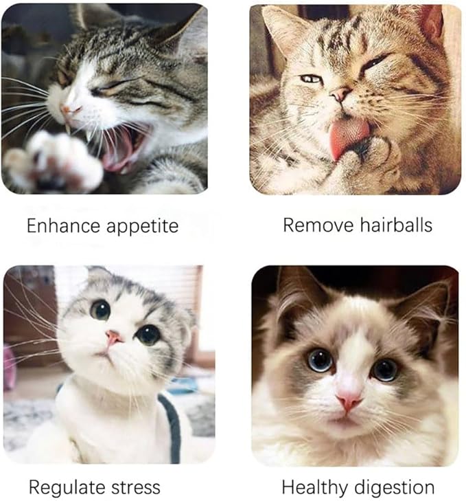 Premium Natural Catnip for Cats, Fun Feline Playtime Treat (50ML)