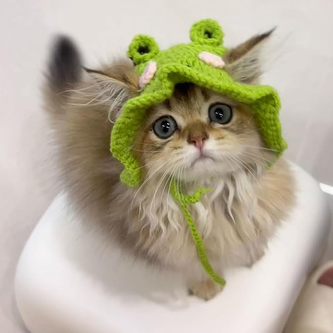 Cat Party Hat with Ear Holes and Adjustable Tie, Soft Polyester, Washable, Green Frog Party Hat for Cats 4-16 lbs, Holiday & Photo Outfit