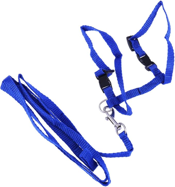 Pet Cat Harness and Leash Nylon Cat Collar with Traction Rope for Safe Outdoor Exploration Lightweight and Comfortable for Kittens Blue