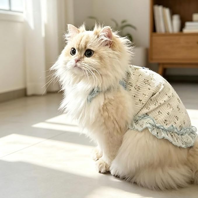 Dog Cat Cooling Summer Dress with D-Ring, Ice Silk Mesh Breathable Pet Clothes, Anti-UV Mosquito Proof, High Elastic Ruffle Dress & Half Belly Cover for Small Dogs Cats(Sky Blue, Large)