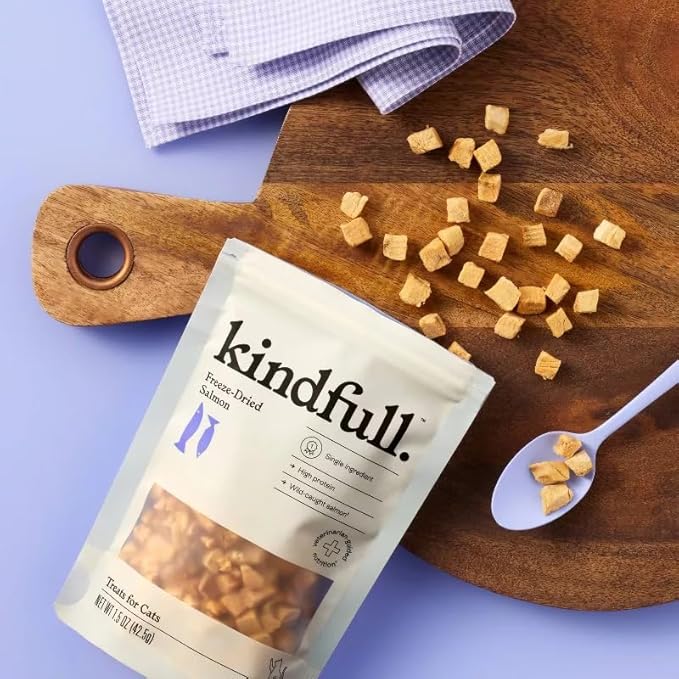 Kindful Salmon Flavor Freeze-Dried Cat Treats, Single Ingredient, High Protein, 1.5 oz