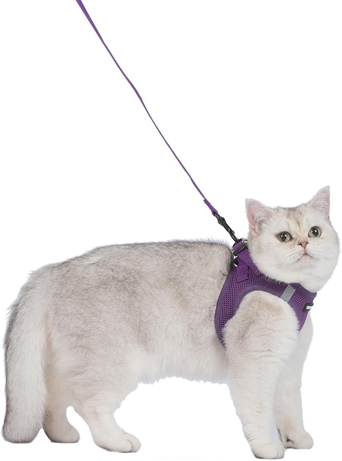Voyager Step-in Pet Harness - All Weather Mesh, Adjustable Step in Harness for Cats and Dogs by Best Pet Supplies - 307S Purple, S