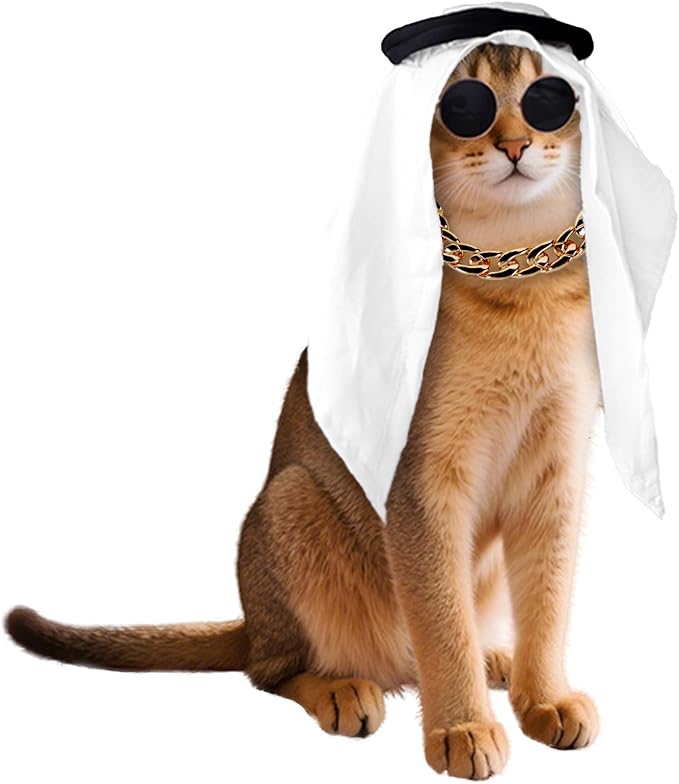 Halloween Costumes for Cats 3Pcs Middle East Desert Cat Costume Dress Up Accessories Arab Shemagh Sunglasses Gold Chain