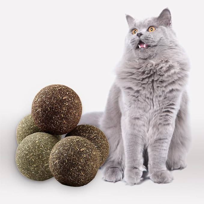 Natural Catnip Toys for Indoor Cats Interactive Cat Nip Balls, 5Pcs, 2 Catnip, 2 Silvervine, and 1 Gall Fruit Ball