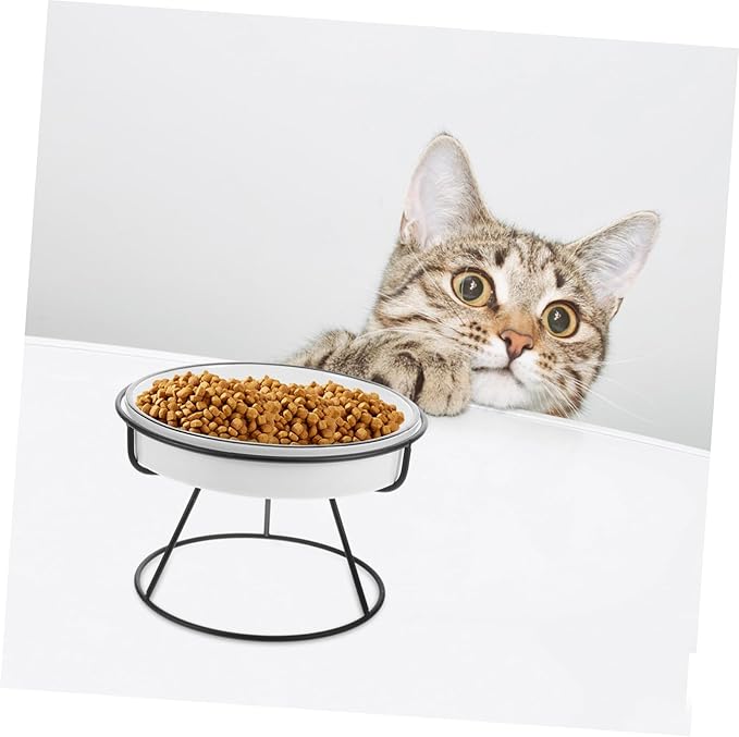 Abaodam Raised Cat Bowl Food Feeding Station Slow Eating Ceramic Cat Dish with Elevated Stand Pet Feeder for Small and Kittens