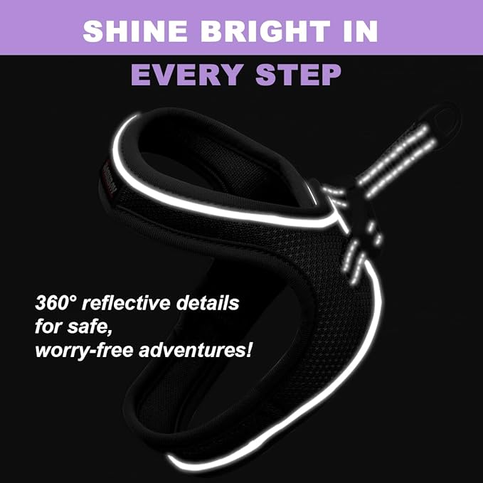Cat Harness and Leash Set,Escape Proof Kitten Harness,Step in Adjustable Soft Lightweight,Easy Control,Reflective Strips Comfortable for Walking Travel(Black,S)
