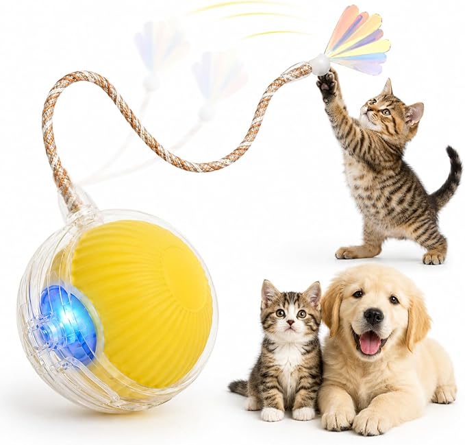 Interactive Cat Toy Ball with LED Lights – USB-C Rechargeable Automatic Cat Toy with Feather Tail for Indoor Cats & Kittens, Upgraded Version