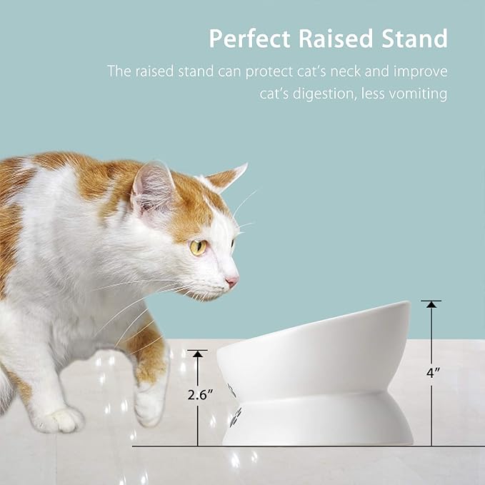 Cat Food Bowls, 10 OZ Elevated Cat Bowls for Cats and Small Dogs, Tilted Pet Feeder Bowl with Raised Stand Protect Cat's Spine, Ceramic Cat Water Bowl No-Spill, Stress Free Cat Dish 2pcs
