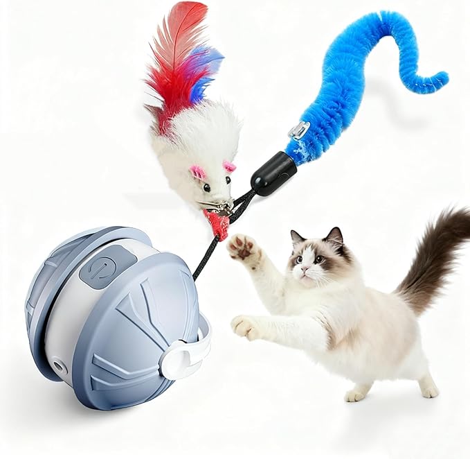 Interactive Cat Toy Ball for Indoor Cats, 2-in-1 Smart Moving Cat Ball with Feather Accessories, Automatic Kitten Toys for Bored Indoor Cats, USB Rechargeable Ideal for Small and Medium Cats