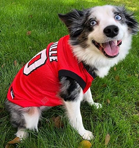NCAA Basketball Pet Jersey LOUISVILLE CARDINALS Dog Jersey, Large