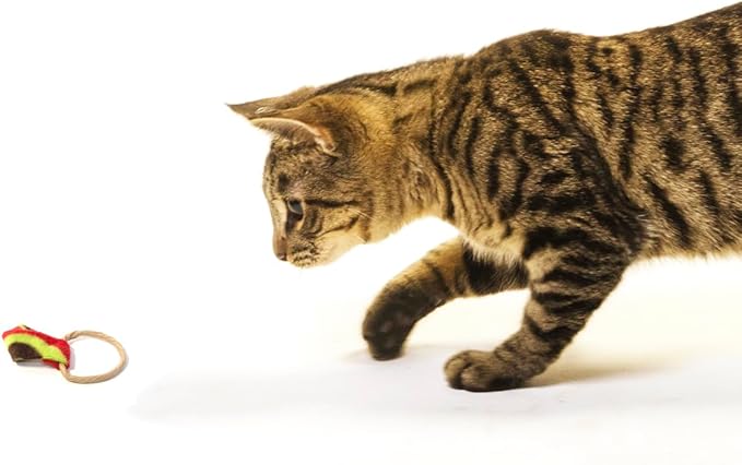 Cat Dancer Ringtail Chaser Combo - Fun and Fitness for Playful Cats. Includes One Original Toy, and One Original Cat Chaser.