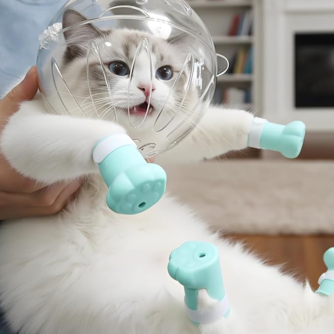 Varku Cat Helmet,Cat Muzzle for Grooming Set Cat Astronaut Helmet, 4 Plastic Paw Shoes, Anti-Bite & Lick,Transparent Breathable Space Cat Helmet Headgear with Paw Covers Blue