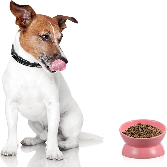 Ceramic Elevated Cat Bowl Tilted Raised Pet Feeder Bowl Neck Protection Non-Slip for Indoor Cats Feeding and Watering Random Color