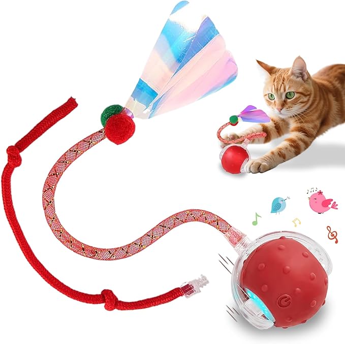 Interactive Cat Toys Smart Ball for Cats & Dogs! Now with 2 Rapid Tails. Features: 360°Auto-Rolling, Motion Activation& Bird Sounds. Perfect for Indoor Pet Exercise & Fun. (Red1)