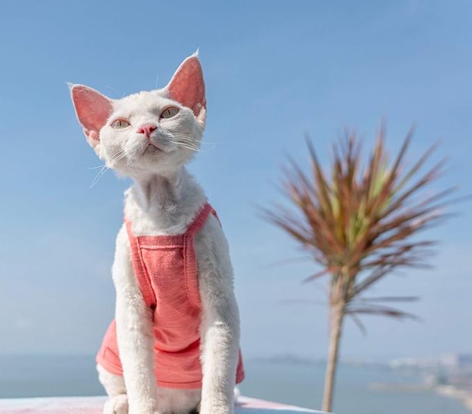 Hairless Cats Solid Cotton Camisole, Breathable Summer Tank Tops for Sphynx, Cornish Rex, Devon Rex, Peterbald, Cat Wear Hairless Cat Clothes Soft Skin-Friendly Cats Apparel Assorted Colors and Sizes