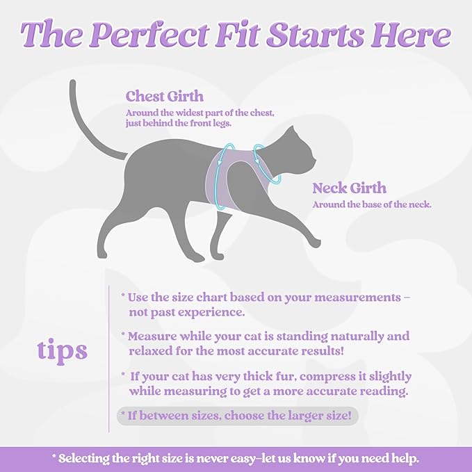 rabbitgoo Cat Harness and Leash Set for Walking Escape Proof, Adjustable Soft Kittens Vest with Reflective Strip for Cats, Comfortable Outdoor Vest, Black & Light Purple, S