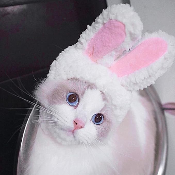 Pet Cute Hat, Cat Adorable Bunny Hat Banana Strawberry Tiger Yellow Duck Drumstick Shaped Hat for Cat Kitten Small Puppy Party Costumes Festival Birthday