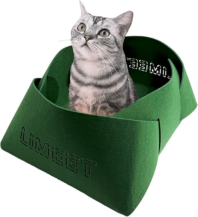 Cat Scratcher Bed, Foldable Scratch-Resistant Cat Couch for Indoor Cats, Cozy Lounger for Sleeping & Scratching, Forest Special Green