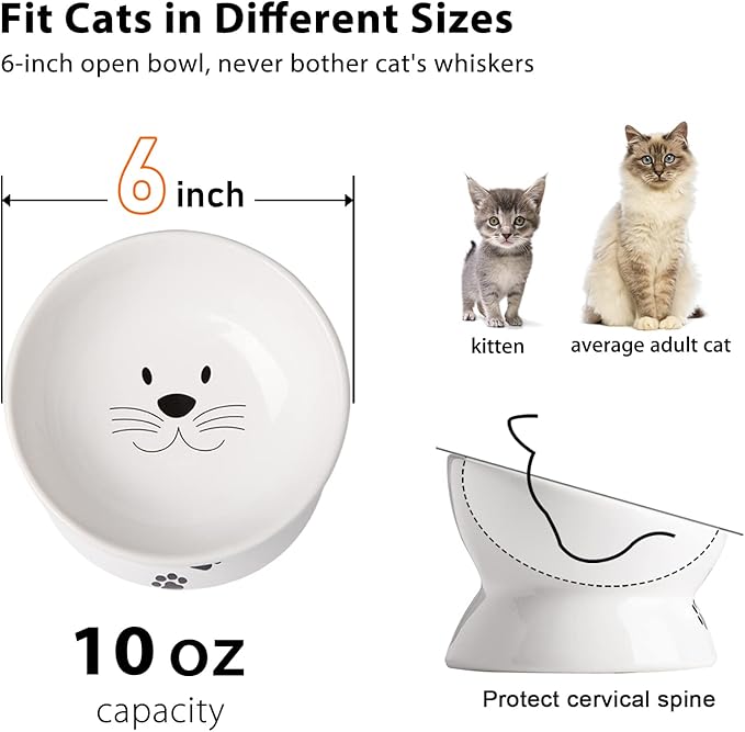 Cat Food Bowls, 10 OZ Elevated Cat Bowls for Cats and Small Dogs, Tilted Pet Feeder Bowl with Raised Stand Protect Cat's Spine, Ceramic Cat Water Bowl No-Spill, Stress Free Cat Dish 1pcs