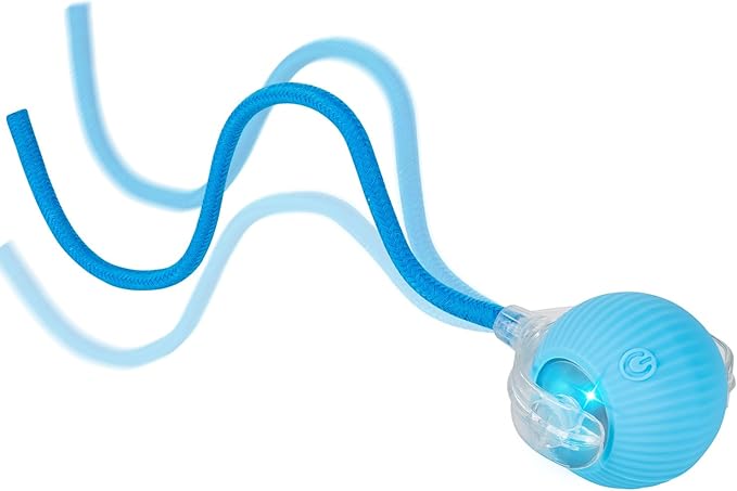 Cat Toy, Electric Interactive Toys for Indoor Cats, Blue