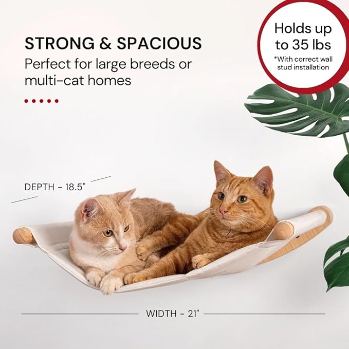 7 Ruby Road Alto Cat Wall Hammock Set — Wall Mounted Cat Shelves & Furniture with Climbing Steps for Large Cats, Holds 35 lbs, Indoor Climbing & Lounging, Replaceable Cushion