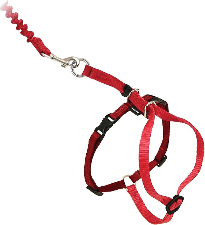 PetSafe Come with Me Kitty Harness and Bungee Leash Adjustable, Lightweight Harness for Cats Large, Red
