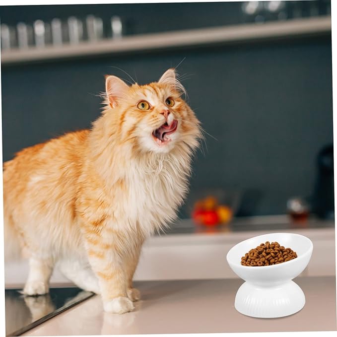 Abaodam Ceramic Cat Feeder Bowl Tip Design Slanted Mouth for Easy Eating Safe Material Cat Food Container for Comfortable Feeding