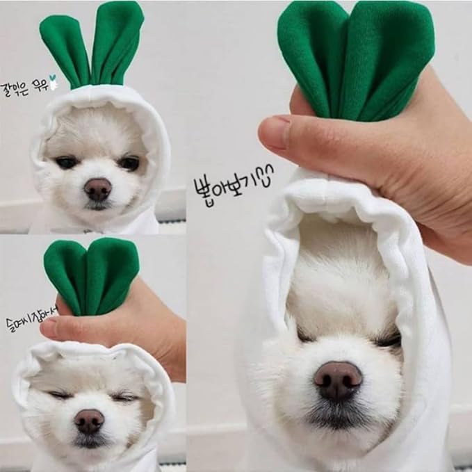 Pet Clothing Dog Transformation Frog Hoodie Autumn and Winter Warm Small Large Dog Method Dou Cat Bullfighting Clothes (White Radish,2XL)