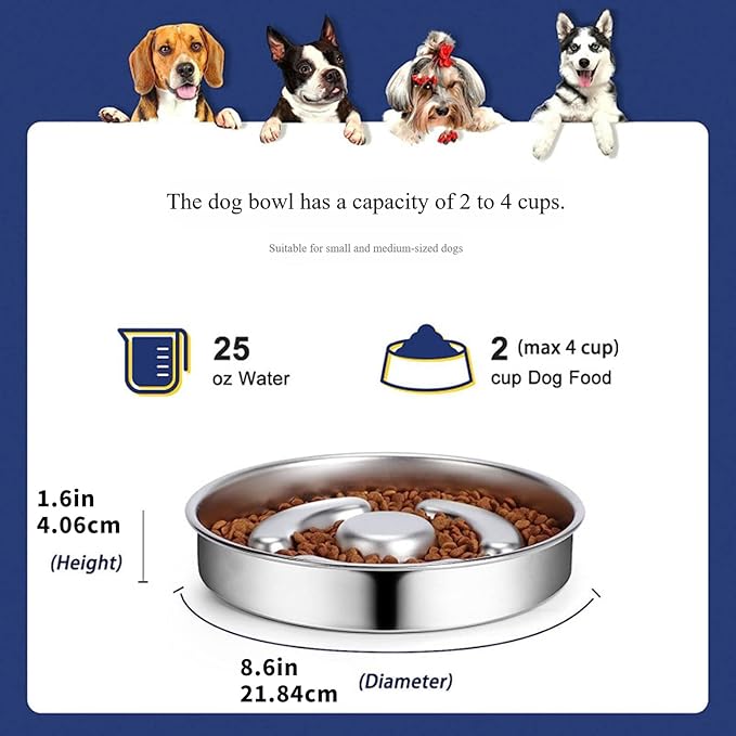 Dog and Cats Slow Feeder Stainless Steel Feeding Bowl to Stop Food Gulping for Small Puppy and Kittens Pet Slow Bowl