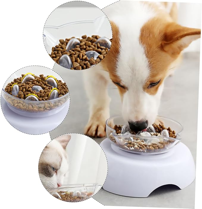 Elevated 15° Tilted Plastic Cat Food Bowl with Neck Protection High Base Pet Feeder for Cats Feeding and Watering