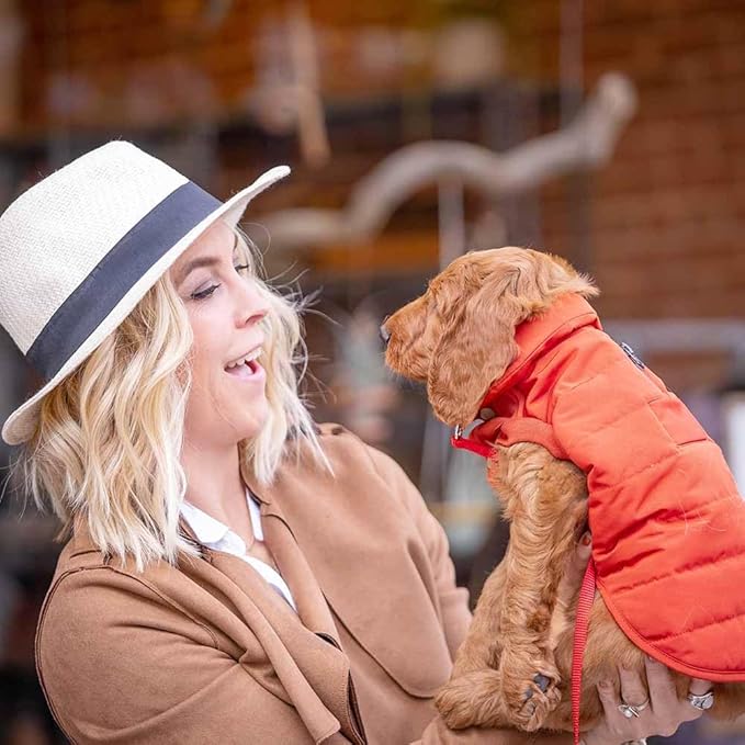 Blueberry Pet Cozy Quilted Rusty Dog Jacket – Windproof & Waterproof Winter Coat, Stylish Warm Puffer for Small & Medium Dogs, Size 12"