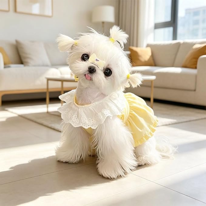 Pet Pumpkin Princess Dress for Small Dogs Cats, Breathable Polyester Lace Skirt, Adjustable Strap Sleeveless Puppy Kitten Outfit for Ragdoll Yorkie Maltese, Spring Summer Sweet Costume(Yellow, Medium)