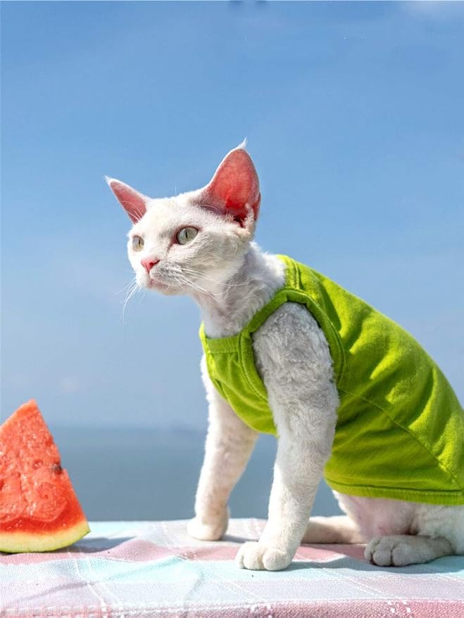 Hairless Cats Solid Cotton Camisole, Breathable Summer Tank Tops for Sphynx, Cornish Rex, Devon Rex, Peterbald, Cat Wear Hairless Cat Clothes Soft Skin-Friendly Cats Apparel Assorted Colors and sizes