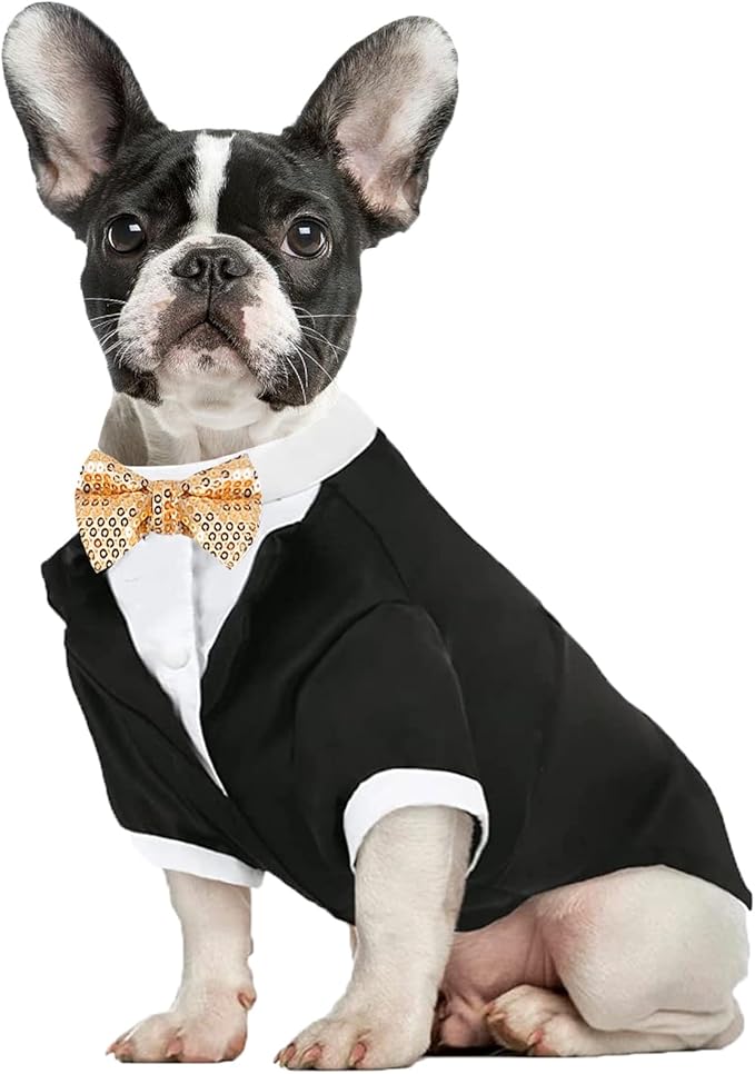 Dog Tuxedo Wedding Outfit Birthday Suit with Gold Bow Tie Formal Dog Tux Party Pet Costume for Small Medium Large Dogs Cats